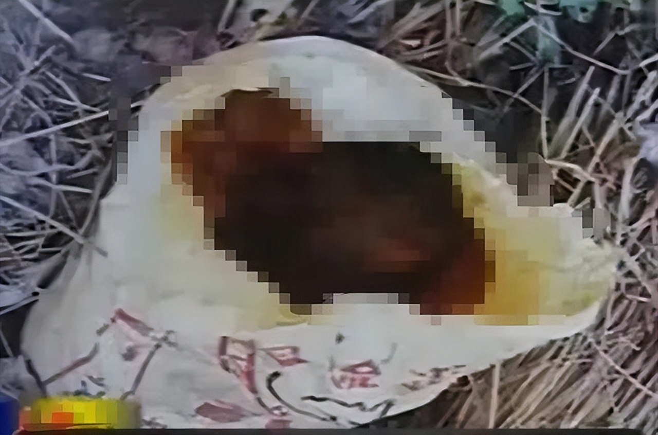 变态*杀凶**案！少女惨遭变态*魔色**砍成人彘，下身被塞满韭菜死去！