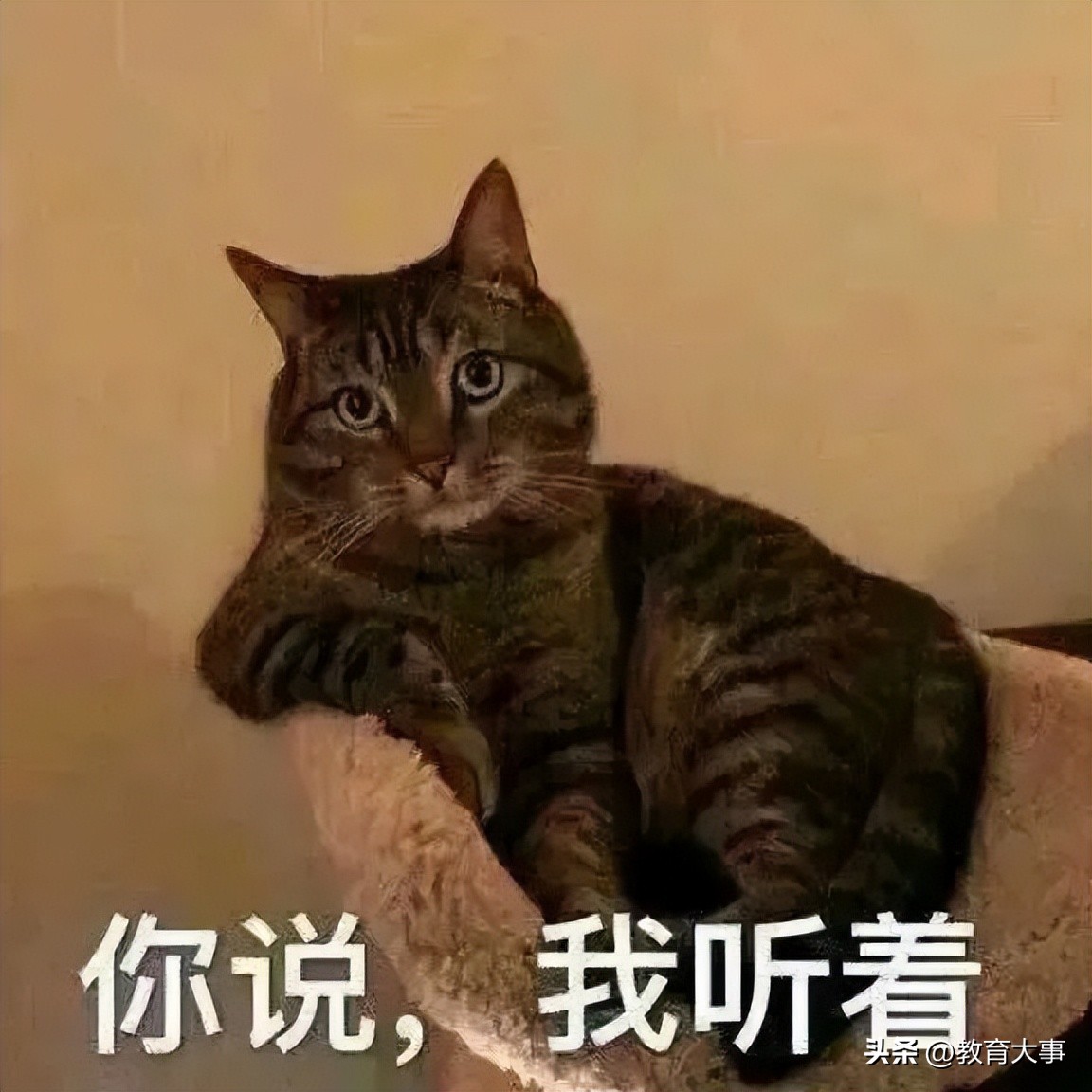 广东近几年准备升本科的专科院校,广东多所高职院校计划升本