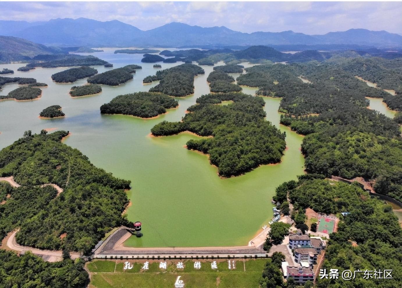 春季国内观鸟热门地,这份观鸟地图请收好