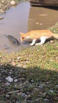 电脑cpu温度高的图片,电脑cpu温度对照表