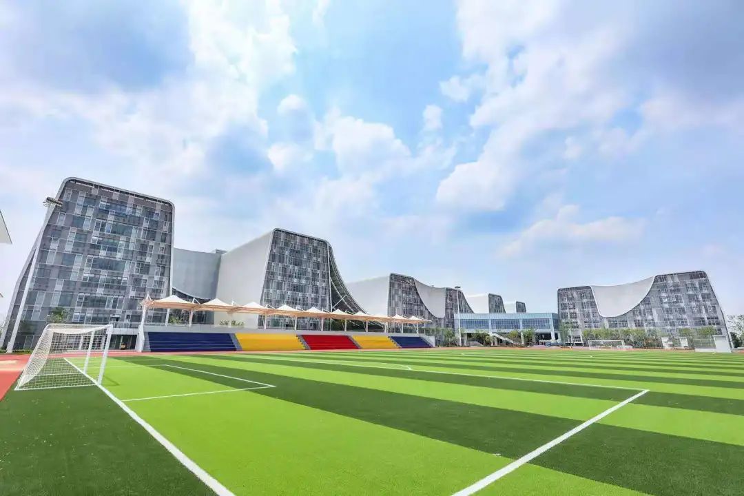 南京公办学校推荐,南京几所学校排名