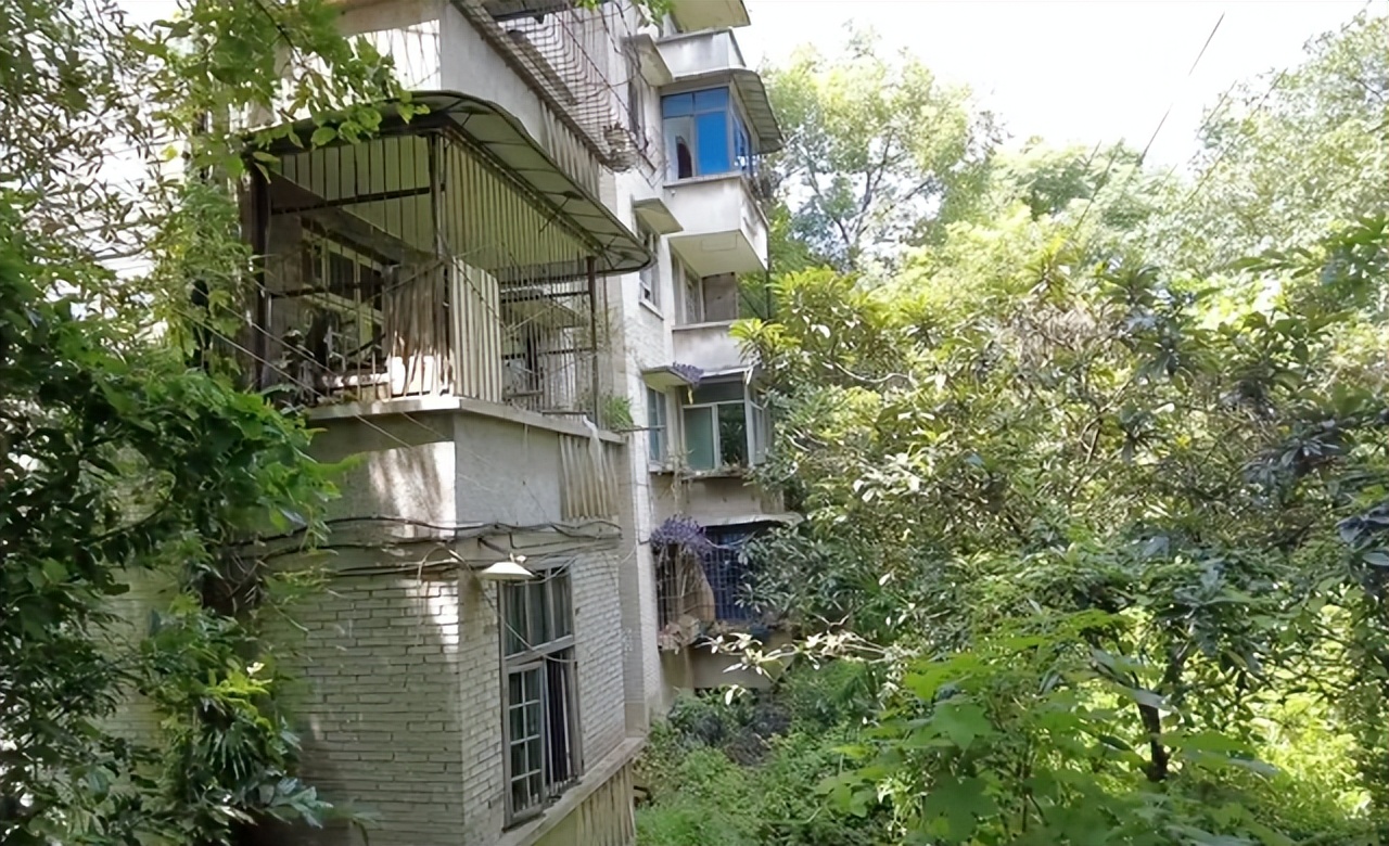 北碚这所中专校园荒废了13年还保留完好；30多年前比大学还吃香