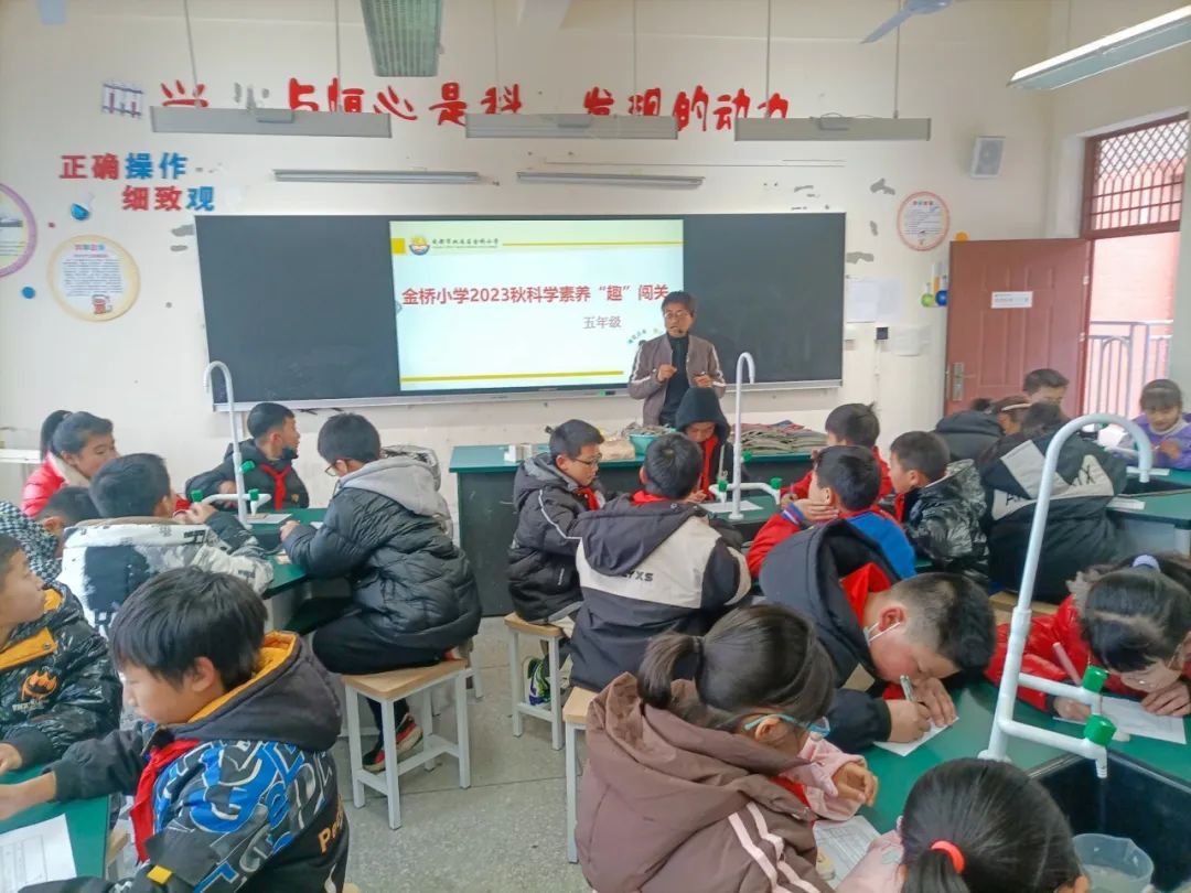双流区金桥街道小学,成都双流区金桥小学怎么样