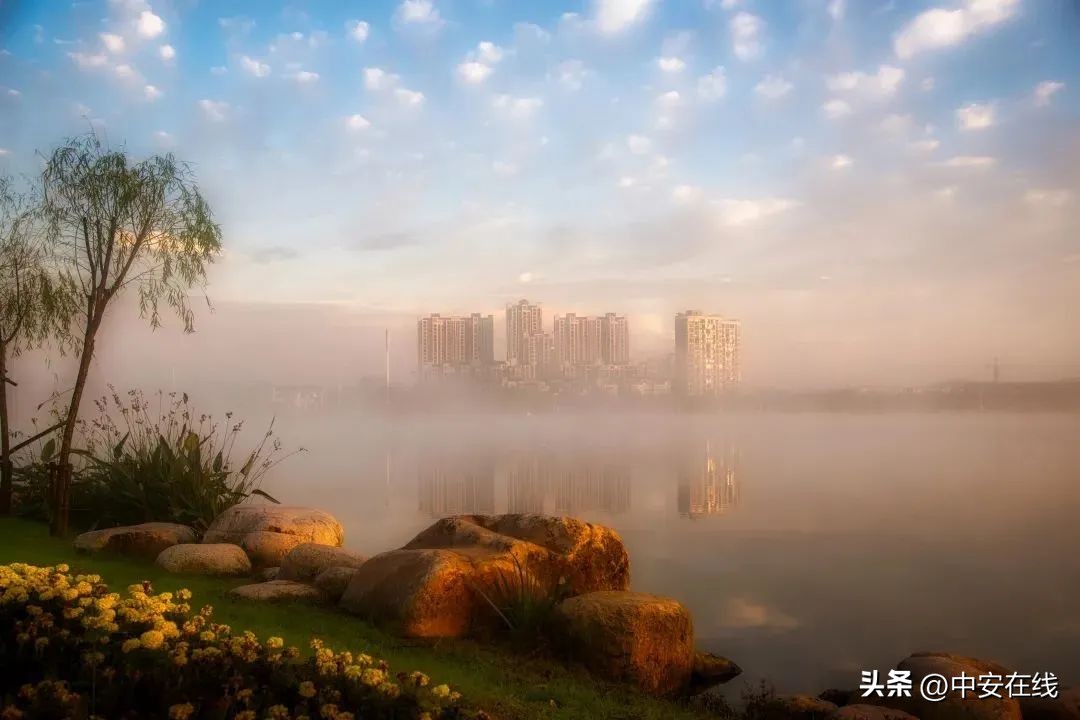 池州可以露营的湿地公园,池州户外露营地推荐