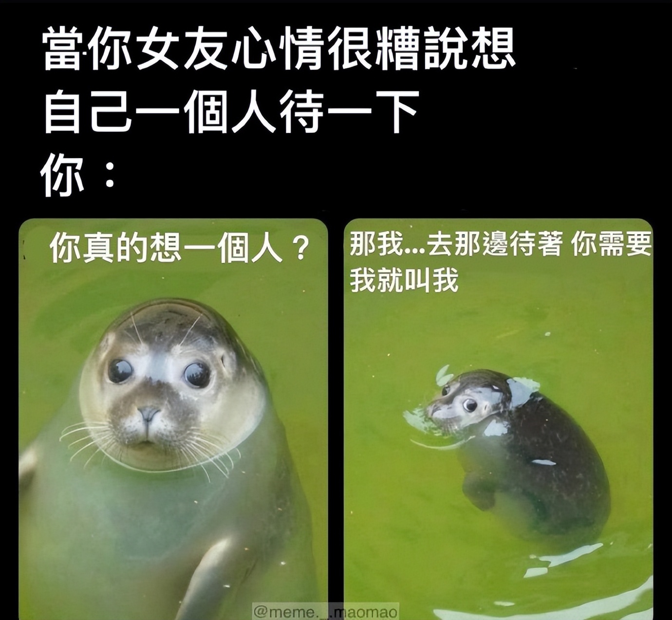 NO.3今日笑话不懂就问，老师的副业真都这么有趣吗