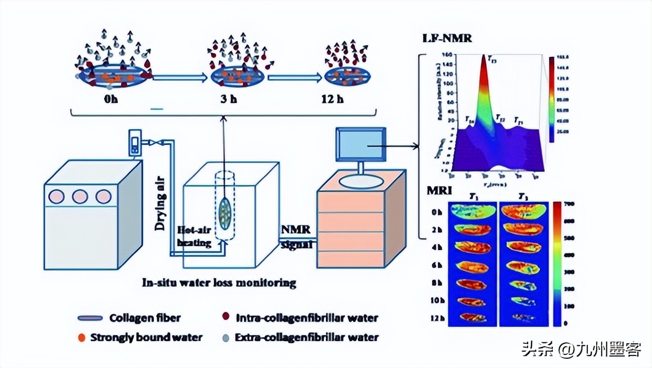 研究纳米石灰处理对Clipsham石灰石干燥动力学的影响