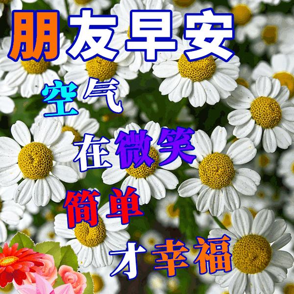 清晨开心幸福问候表情图片,早上好祝你天天开心表情图片