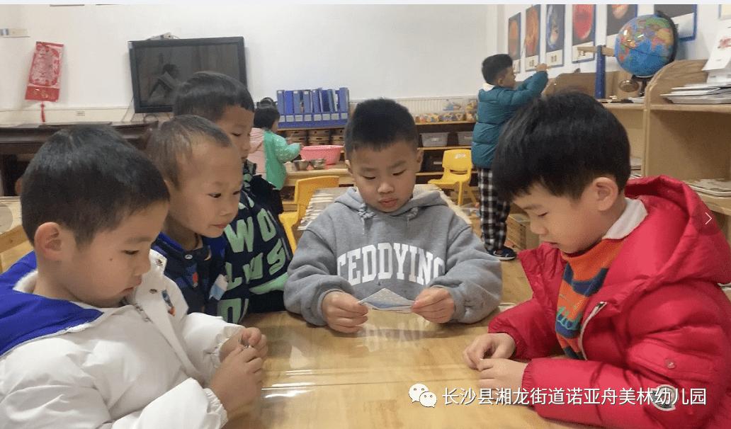 诺亚舟美林幼儿园CASA-A班蒙氏日常《折纸》