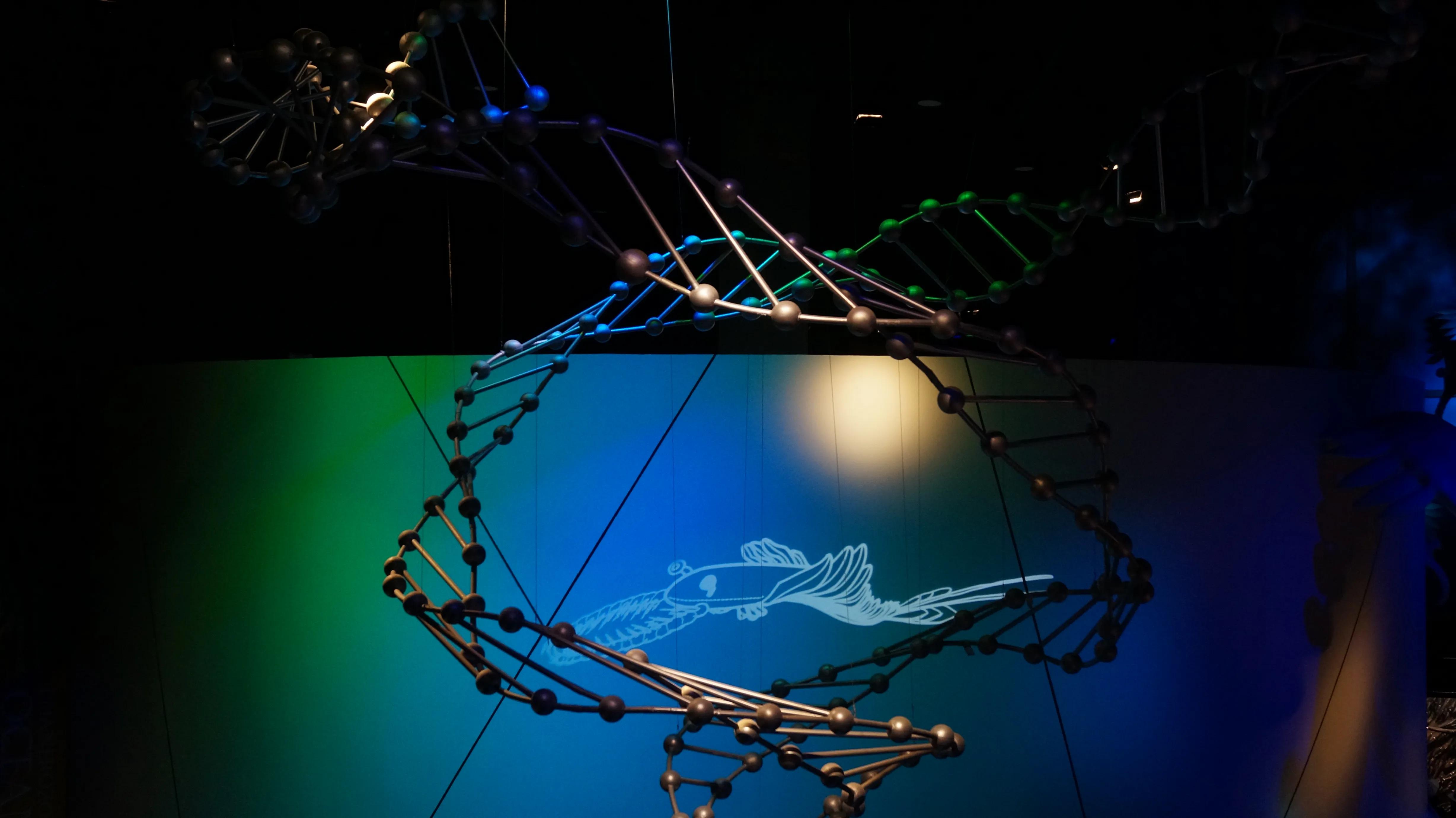 天津2天1晚游攻略夏天,天津2天1夜游攻略