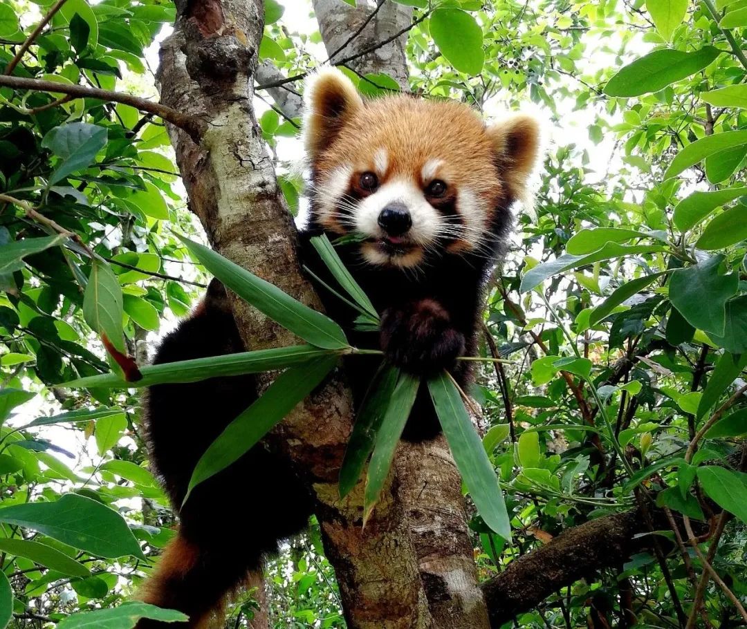 有一种叫云南的生活,有一种生活叫云南的生活