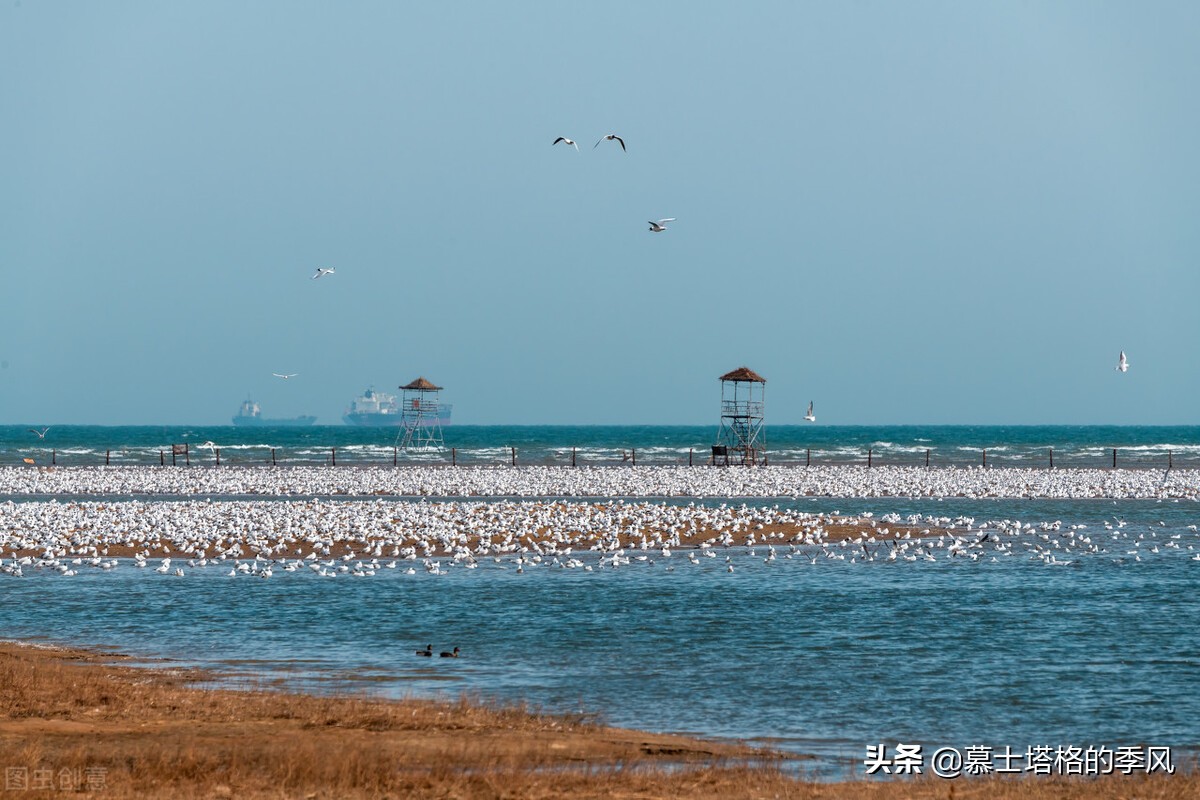 海滨养老最好的地方,中国最适合养老的海边小城物价低
