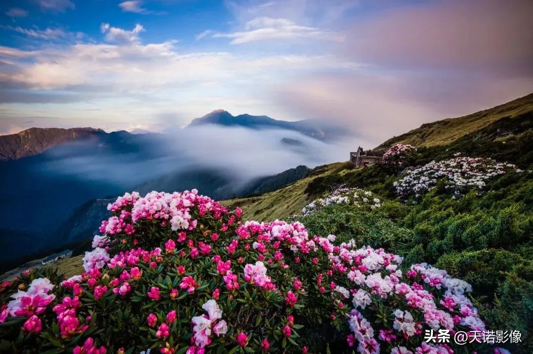 徕卡哪款相机最有德味,徕卡相机的德味