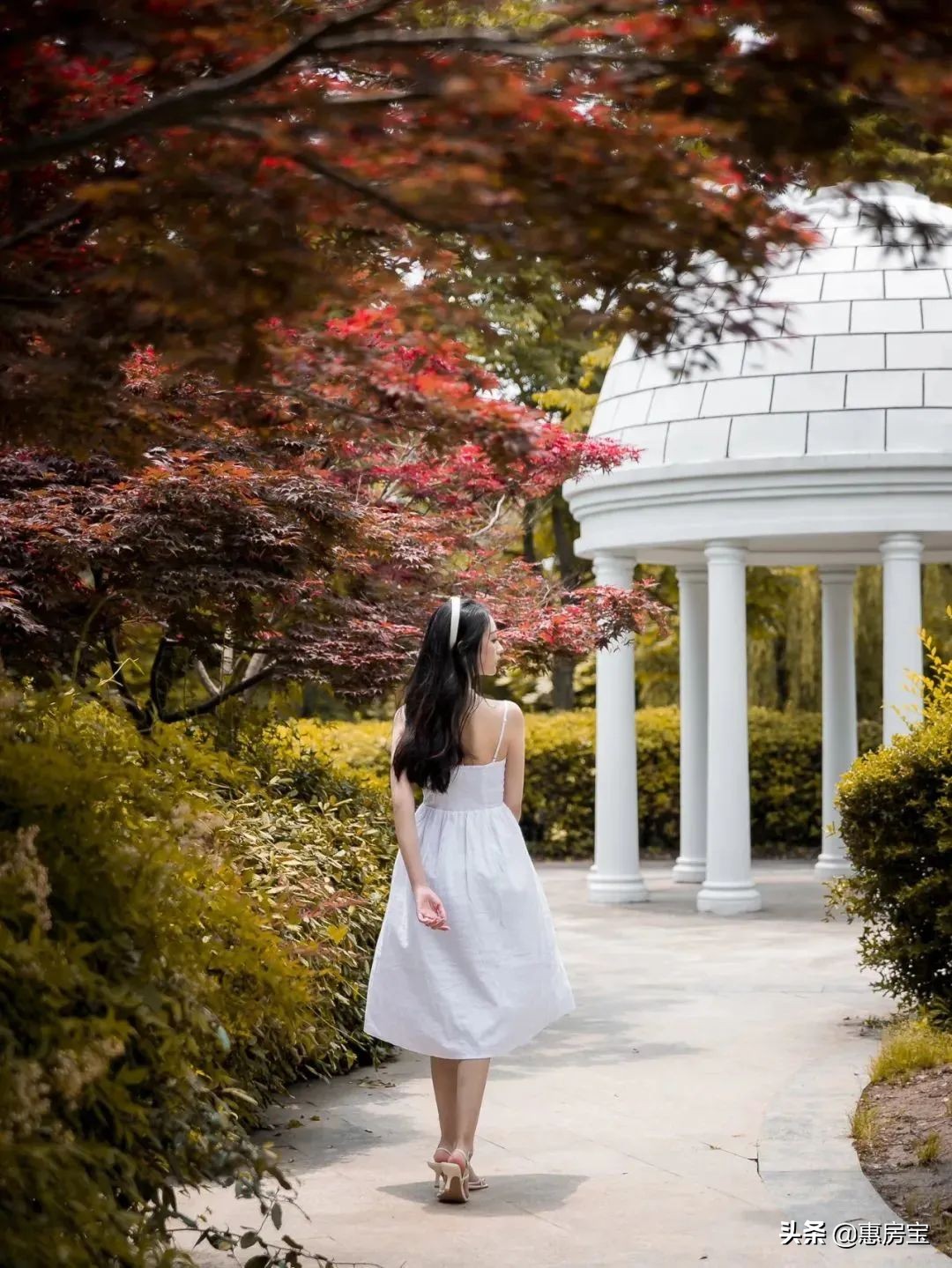 上海公园免费,上海免费公园排行