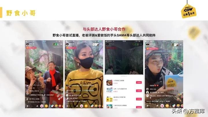 认养一头牛品牌策划方案,认养一头牛品牌推广的方式