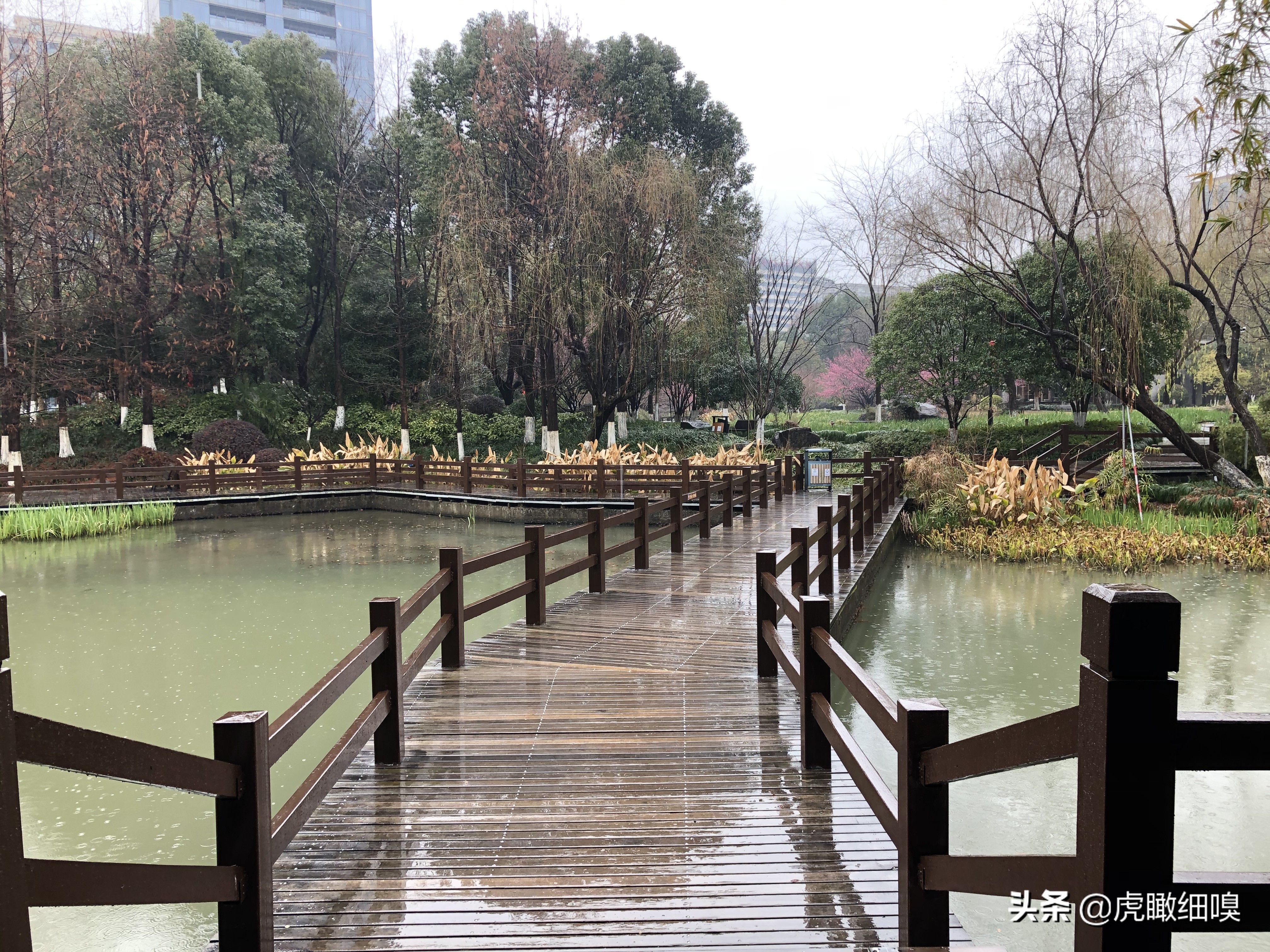 临平水景公园秋天,临平公园当地知名度最高的公园