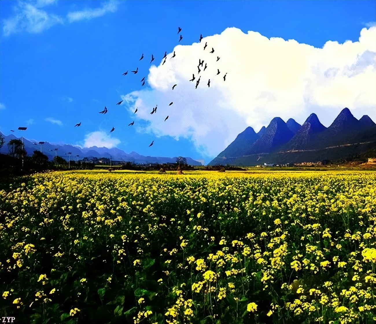 中国人文摄影获奖作品,大美中国摄影作品展获奖