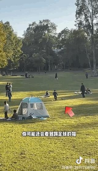 濂崇敓鍋氳揣鎷夋媺鍙告満,濂冲瀛愬仛鍙告満璺戣揣鎷夋媺