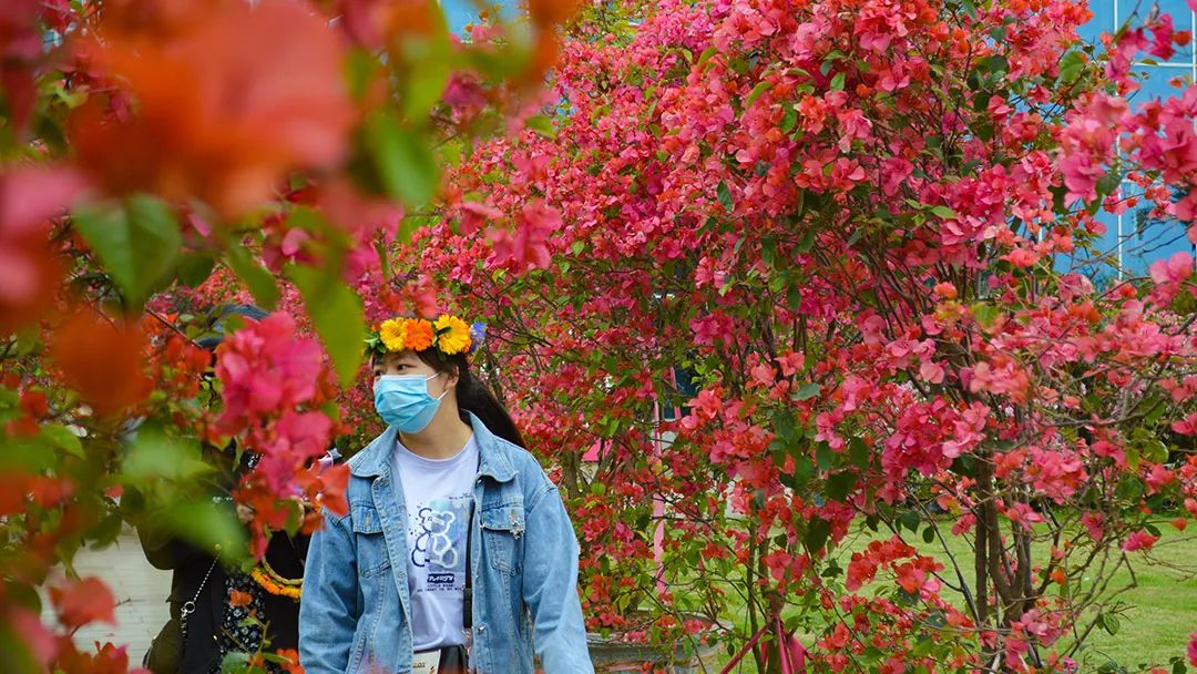 花卡特惠,新春钜惠不容错过