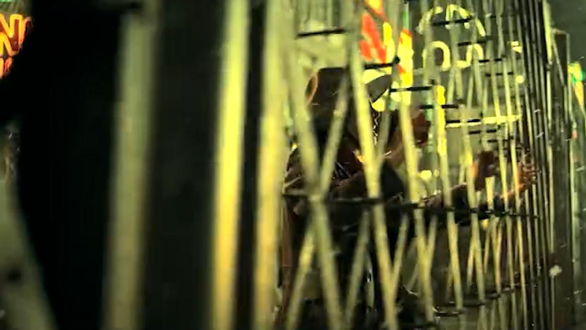 1995年票房最高的十部电影,最快破50亿票房电影