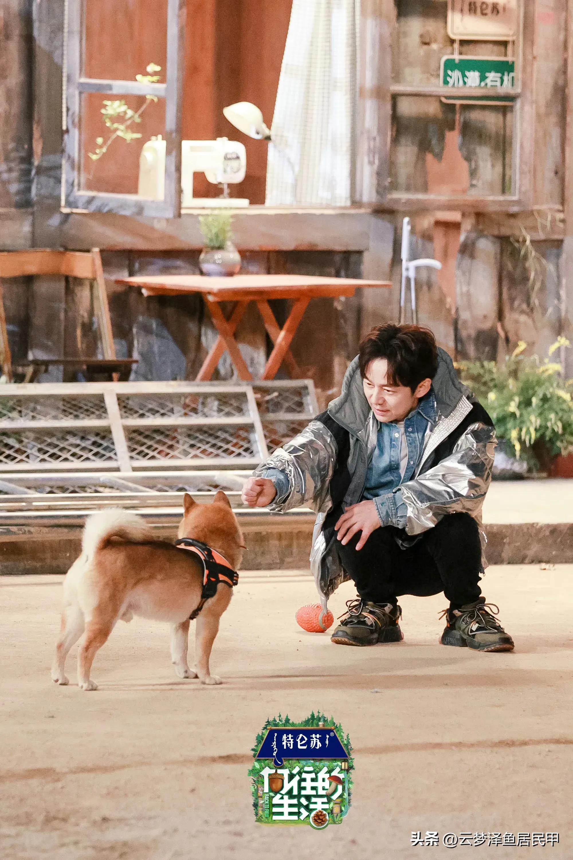 向往的生活第七季结束大合照,向往的生活不拍第8季了吗