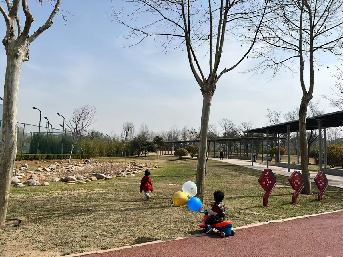 郑州足球公园足球场收费,足球入场费