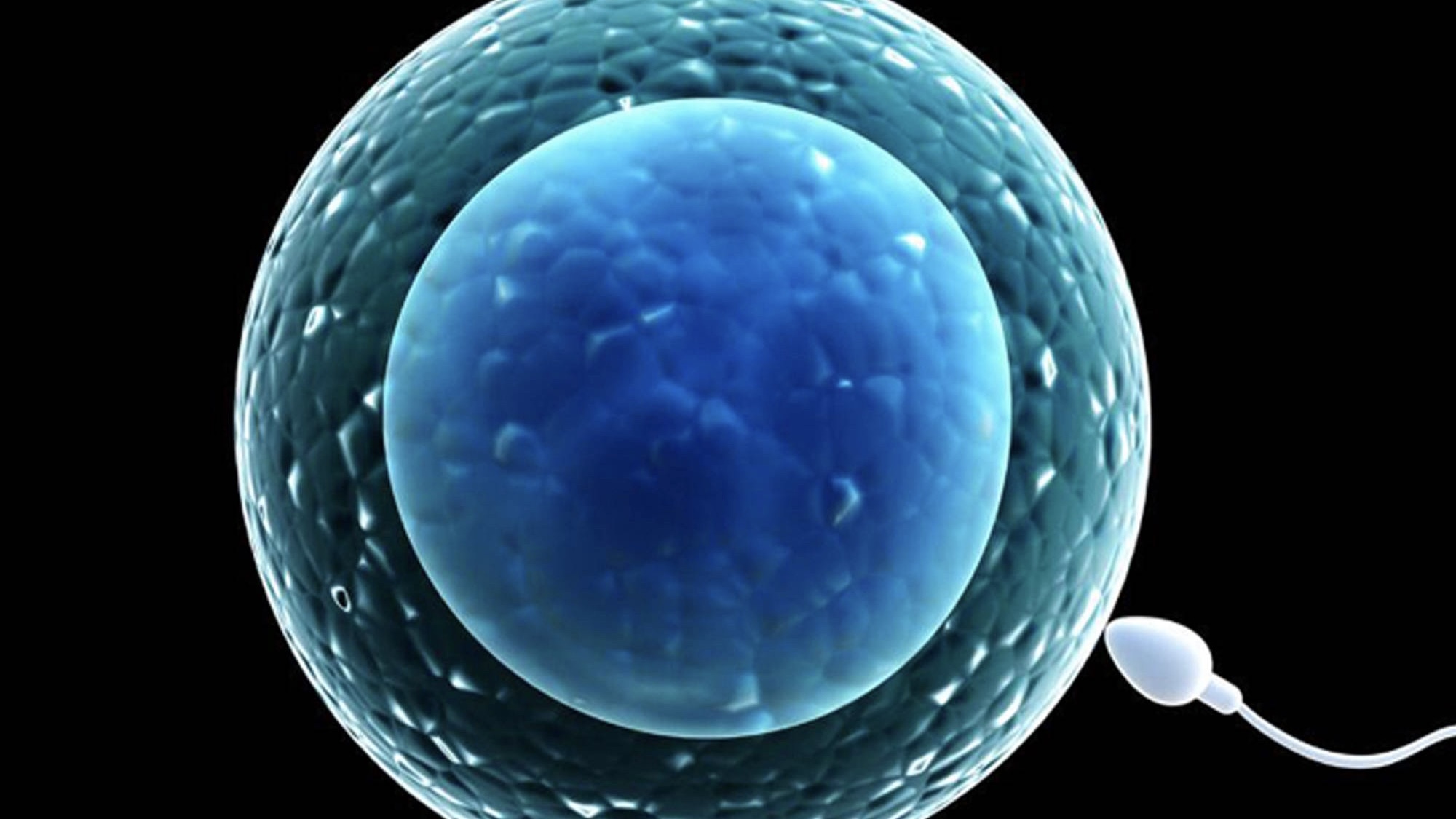 健康大姨妈量多是为什么,健康大姨妈量大