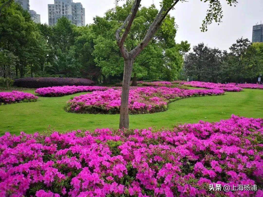 9号线游玩路线推荐,广州地铁18号线沿线有什么好玩的