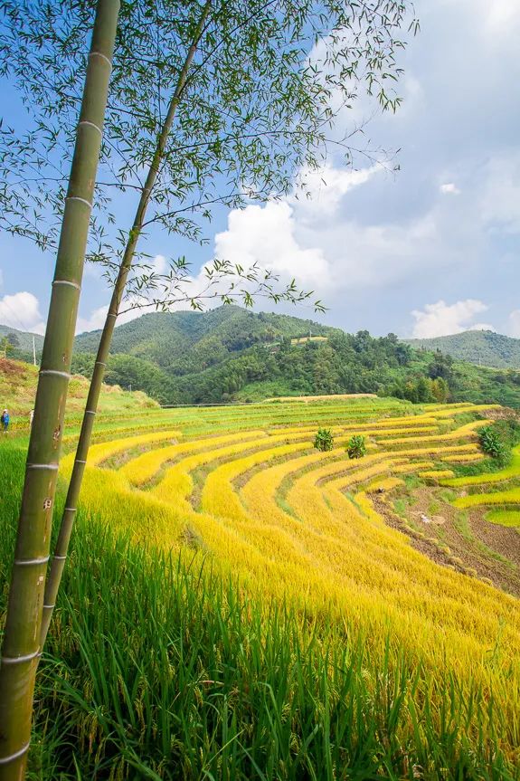 韶关秋天哪里有美景,韶关秋天美景