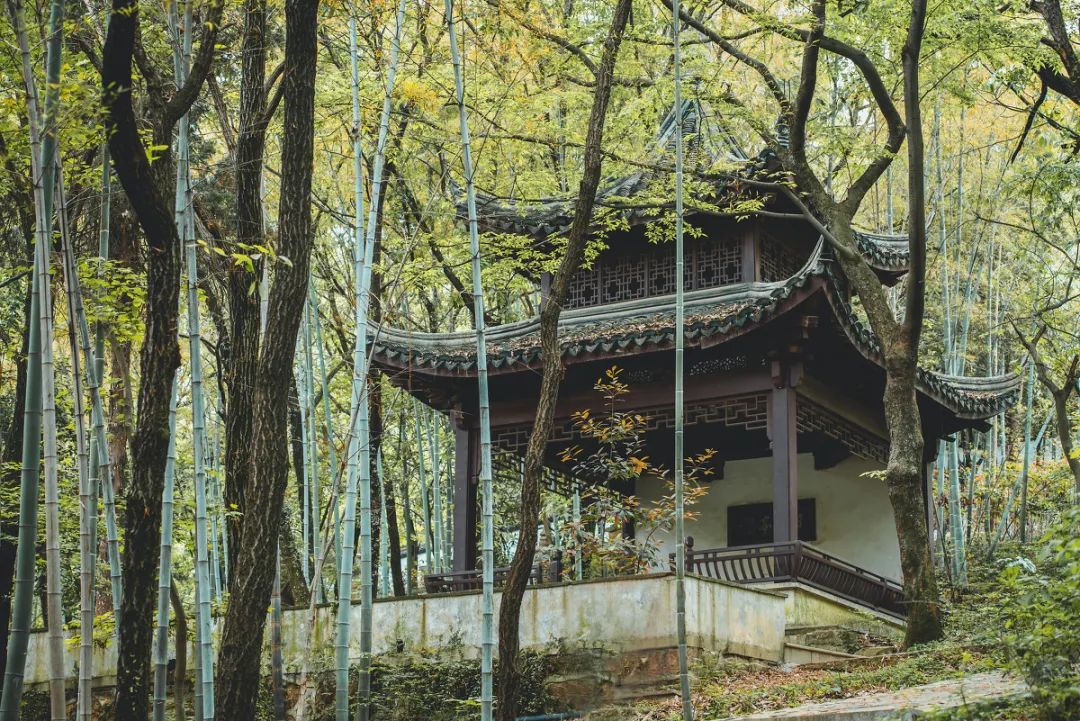 苏州常熟有古典园林吗,常熟百年园林图片