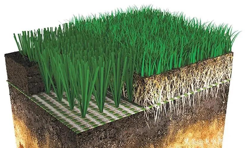 世界杯足球赛场的草坪是什么做的,真的是开眼了