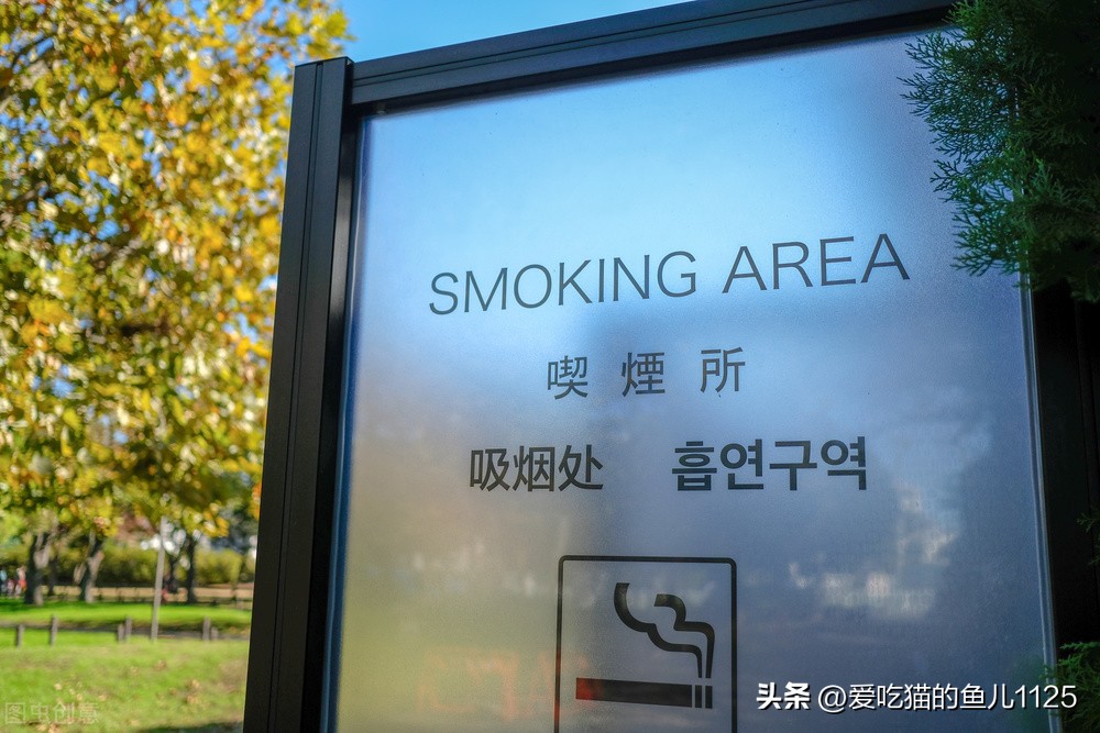 日本见闻,日本见闻录