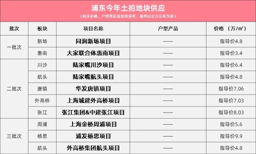 浦东新区2019年项目汇总表,上海浦东2024新项目