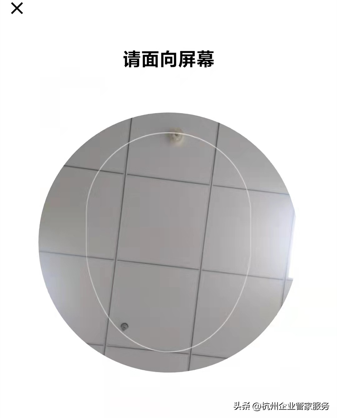 怎么查询自己名下所有注册的软件,怎么看自己名下有没有被注册公司