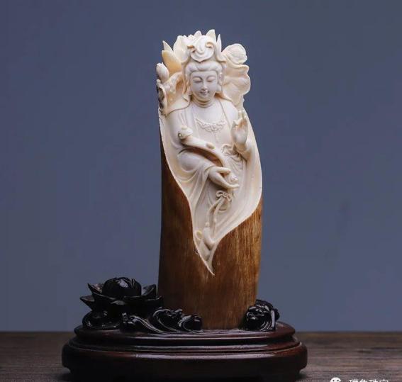 猛犸象牙找寻,象牙与猛犸象牙的区分图