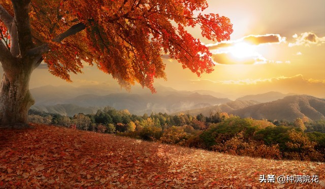 网络信息带来的利与弊,如何看待网络信息焦虑