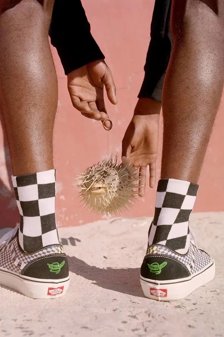 vans2023联名,vans2023兔年联名款