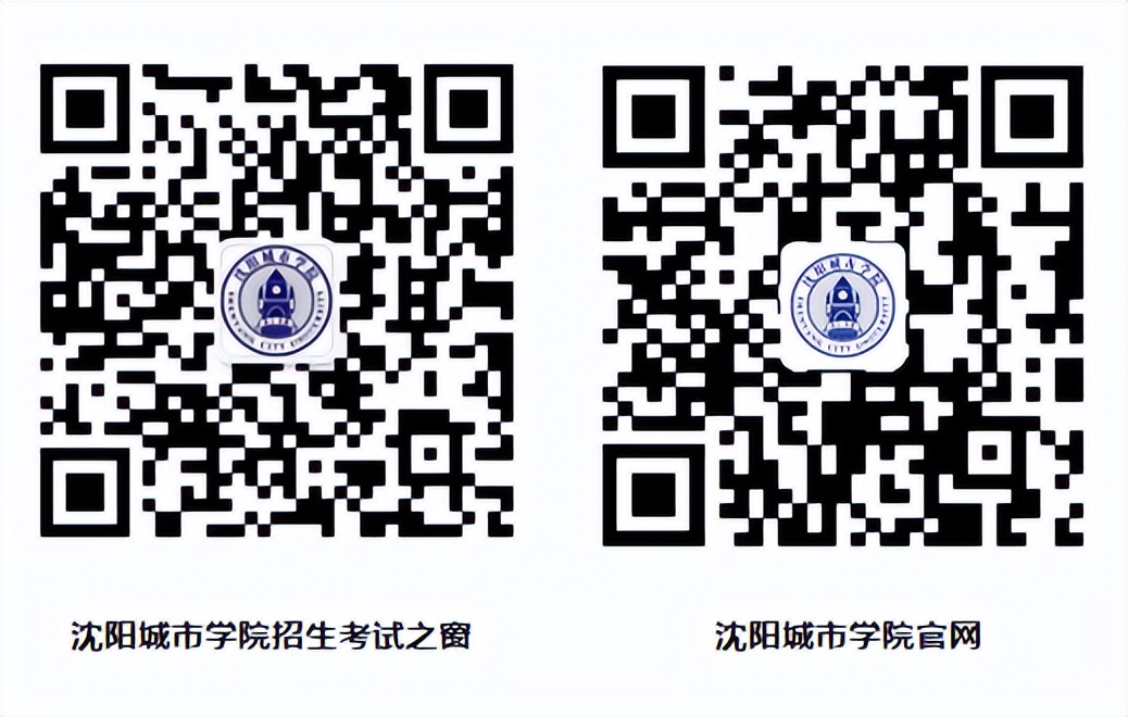 央视网中国新闻网直播,《中国新闻网》央视网