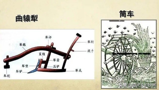 为什么说唐朝是华夏文明的巅峰,唐朝真的很强盛吗