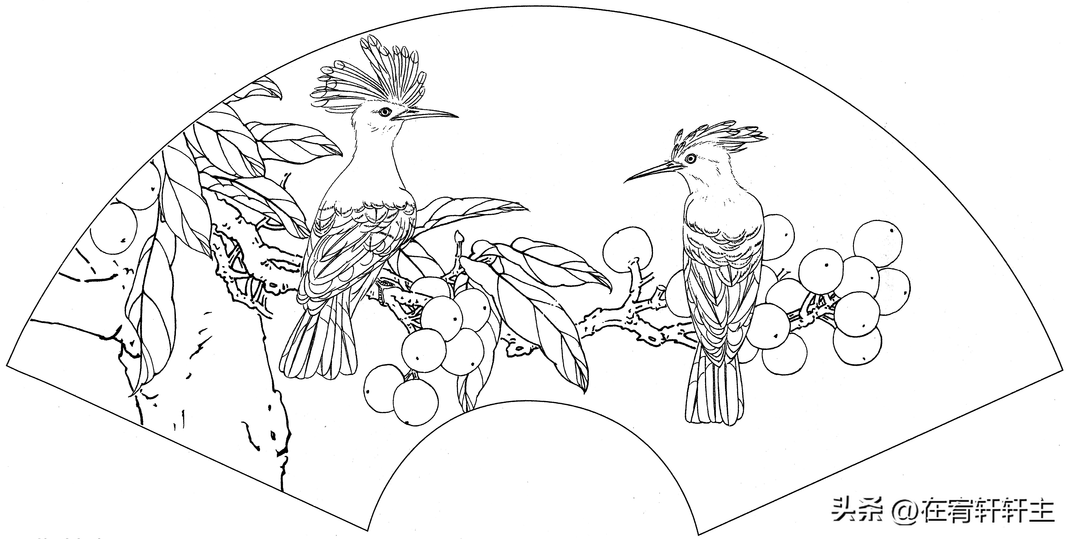 工笔白描祥云图案扇面,工笔扇面葡萄白描图片