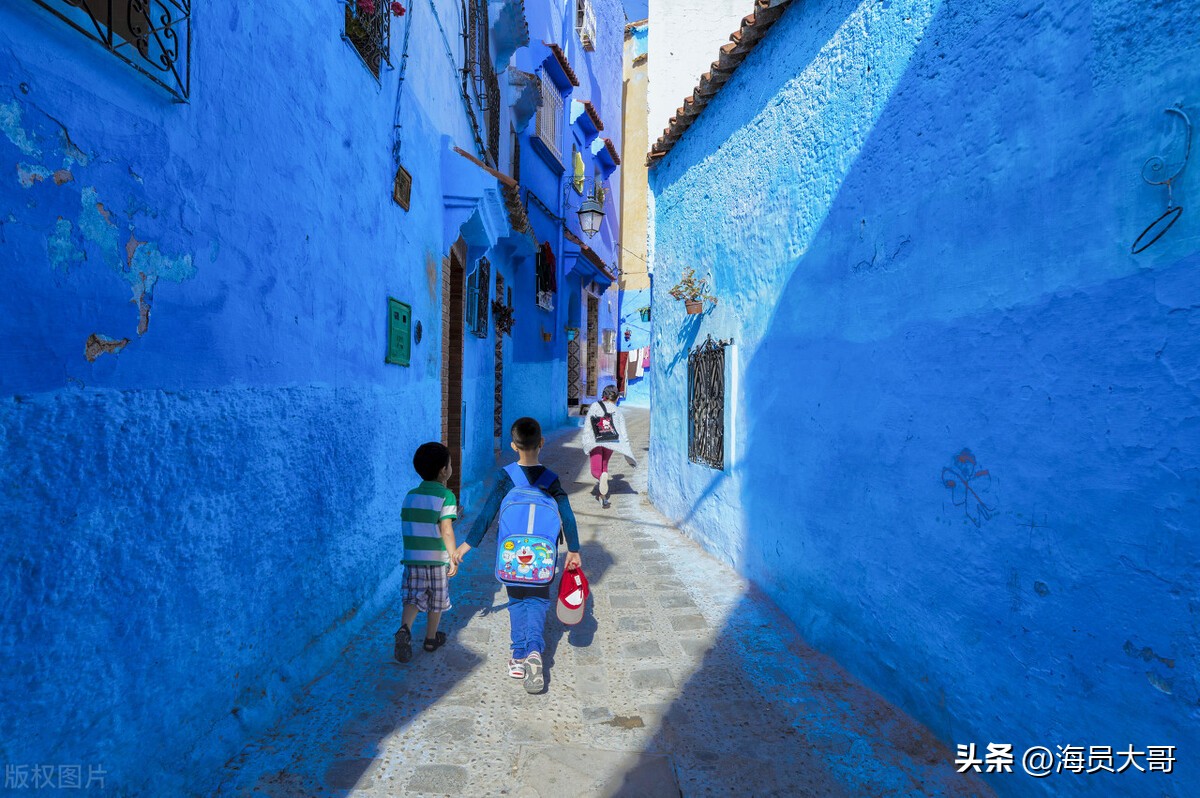 运输偷渡客行政处罚二万元,运输偷渡人员违法所得40万处罚金