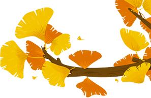 今日秋分的词句,今日秋分语录