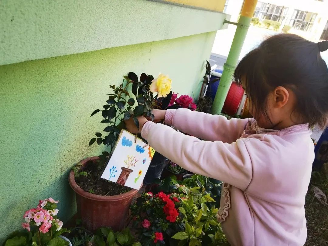 洪雅县第四幼儿园叫什么名字,洪雅第四幼儿园在哪里
