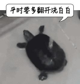 割吗?割啊!我在割包皮的医院走廊,唱完整首孤勇者