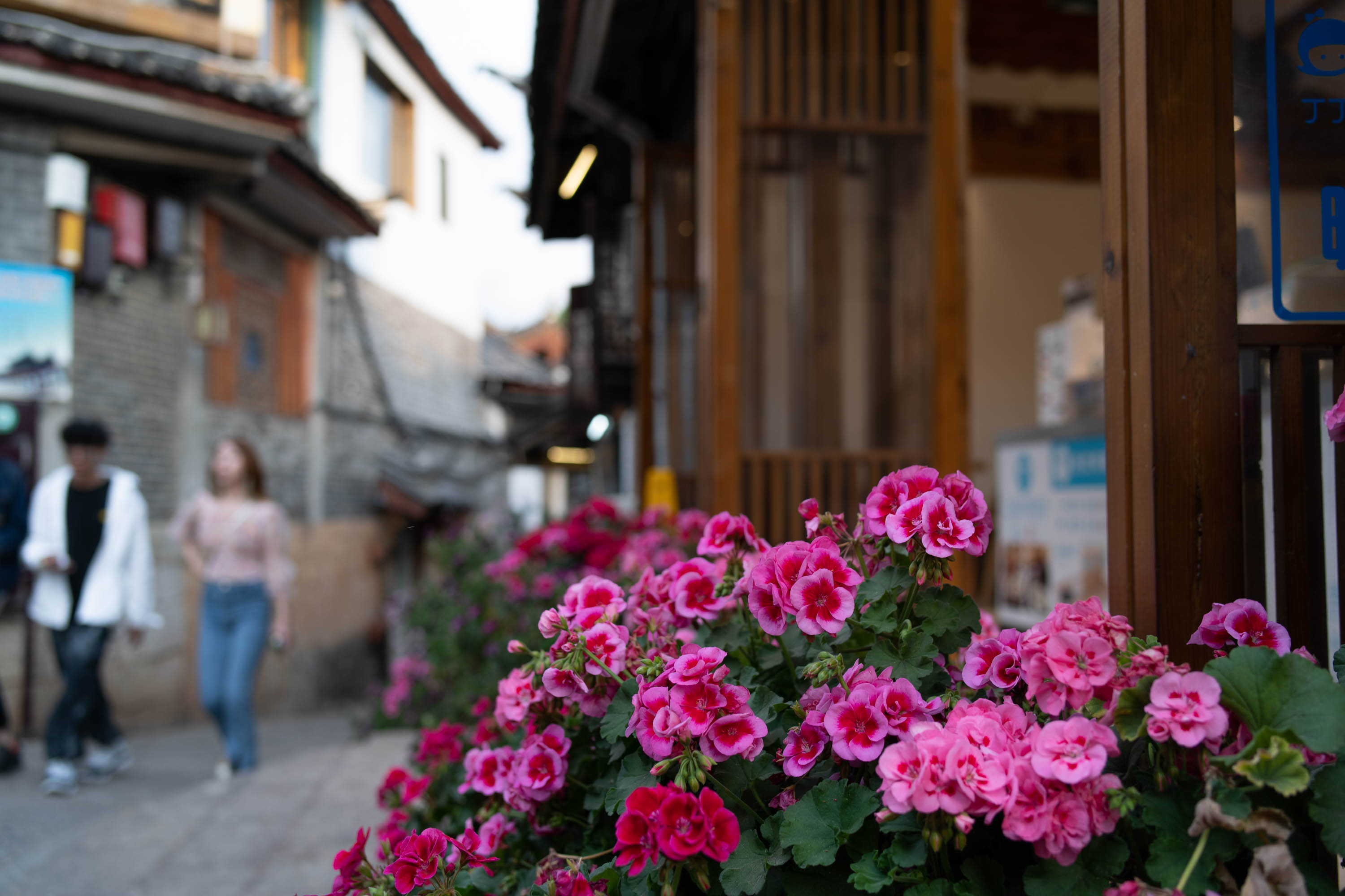 去云南跟团一日游攻略图片大全集,云南六日游跟团路线攻略大全