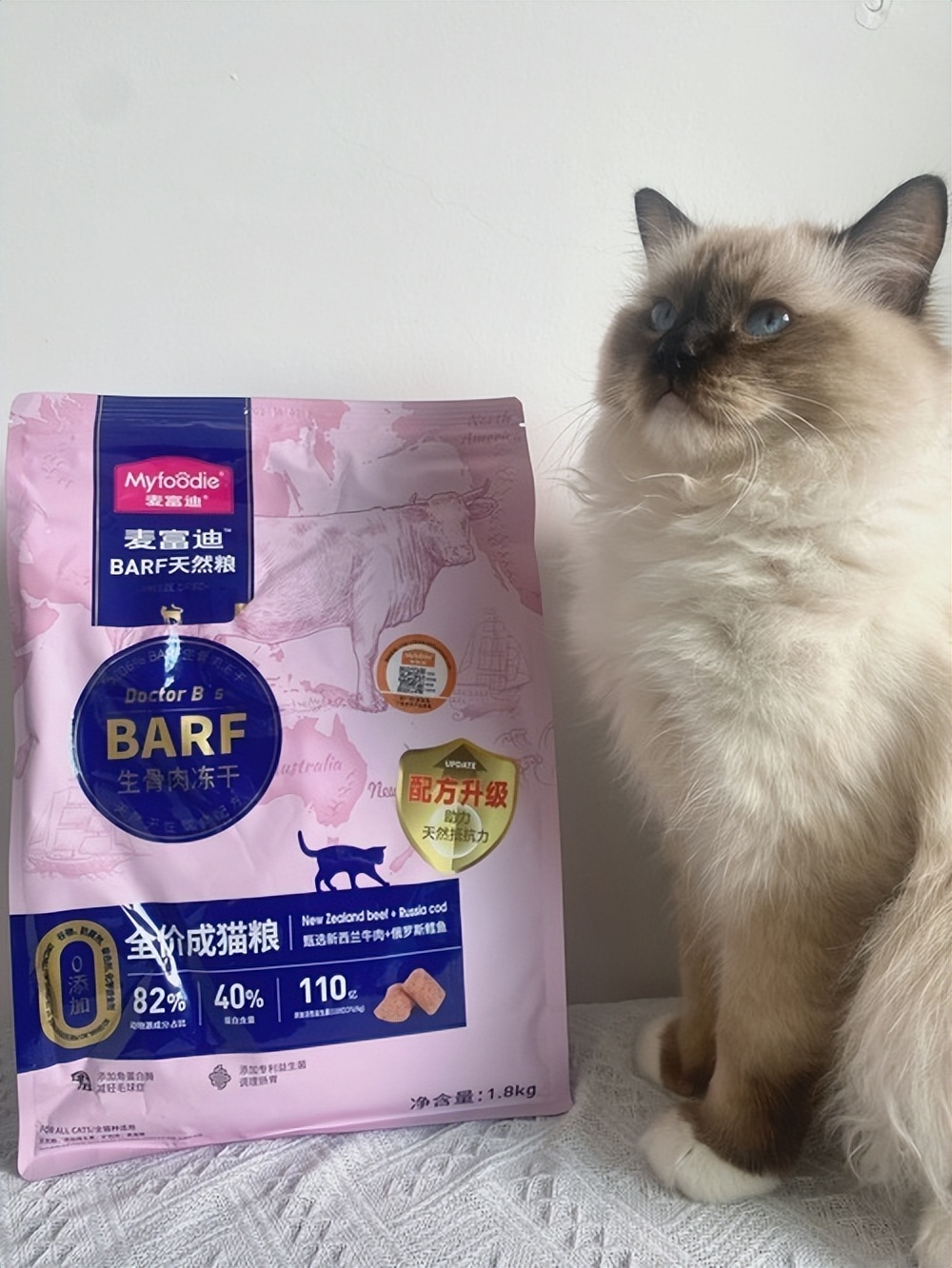 母猫下奶没有奶怎么办,母猫产后喂不喂羊奶粉