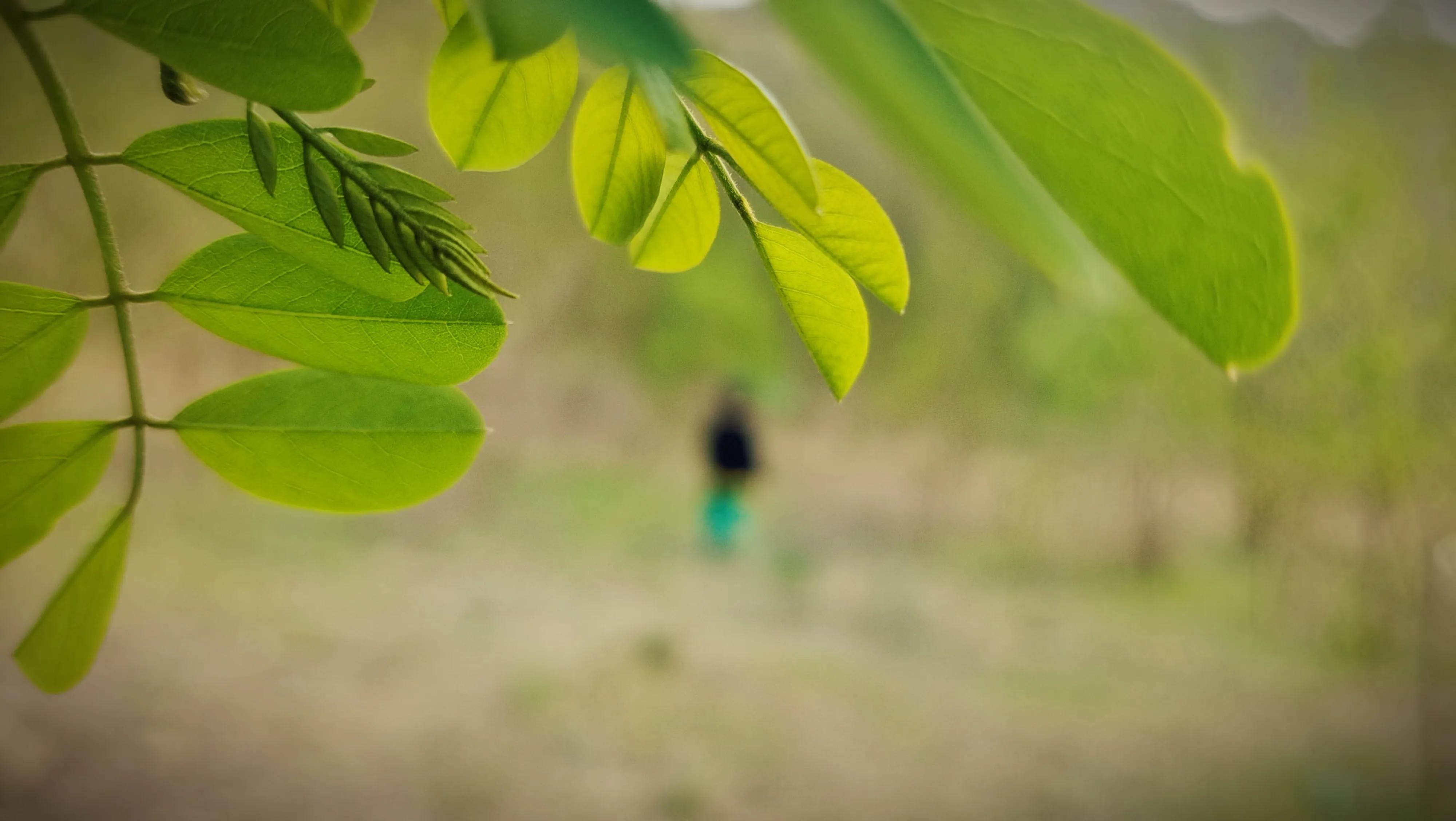 解封后你最想做什么,解封后你最想去的地方