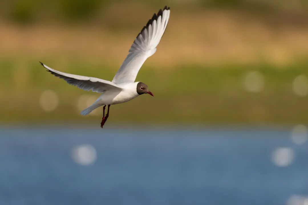 创新生态可持续,创新创业生态环保和可持续发展