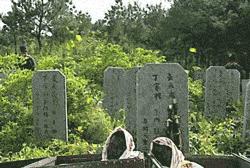 少年包青天童年阴影,小时候最恐怖的电视剧少年包青天