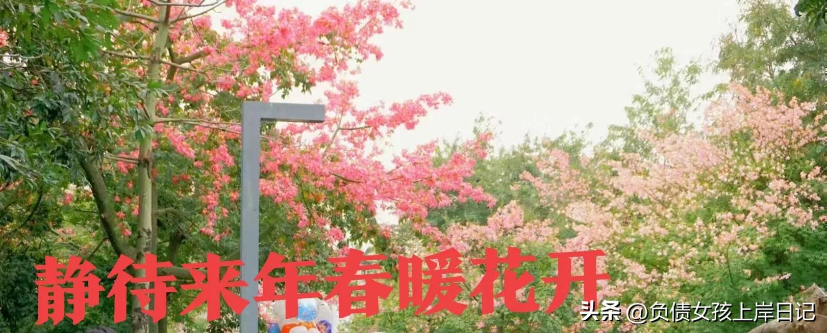 90后真实负债状况,90后负债现状有什么