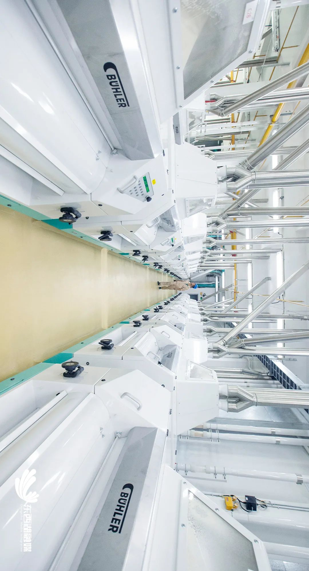 最新东西湖,武汉人眼中的东西湖